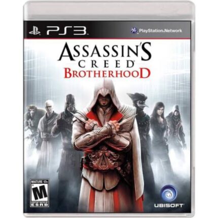 Assasin’s Creed Brotherhood